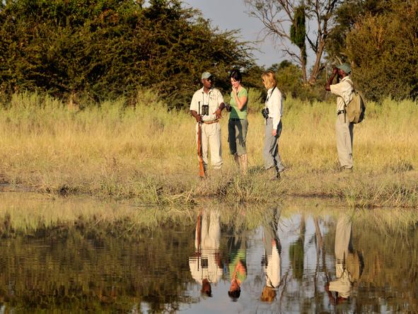 Footsteps Across the Delta - walking safari